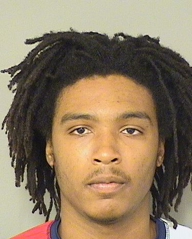  WILLIE JOHNSON Results from Palm Beach County Florida for  WILLIE JOHNSON