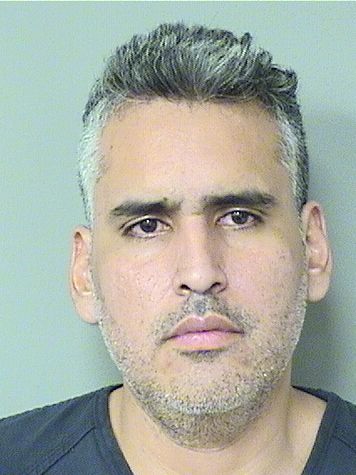  STIVENS INSUASTI Results from Palm Beach County Florida for  STIVENS INSUASTI