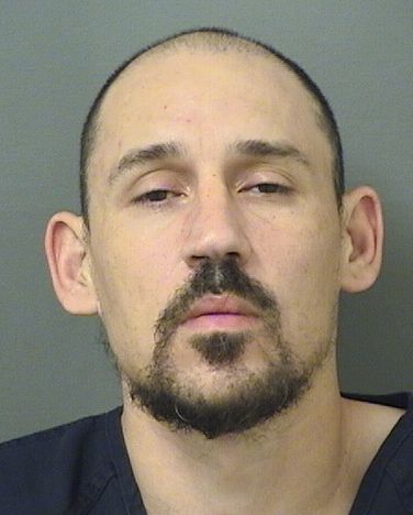  DANIEL ROBERT JIMENEZ Results from Palm Beach County Florida for  DANIEL ROBERT JIMENEZ