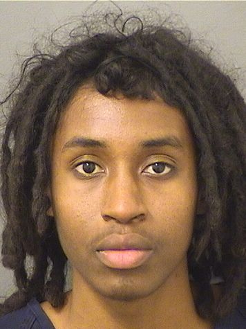  MIKAEL HUGH LEBAN Results from Palm Beach County Florida for  MIKAEL HUGH LEBAN