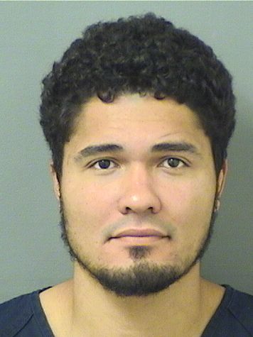  RICHARD MCNAMEE Results from Palm Beach County Florida for  RICHARD MCNAMEE