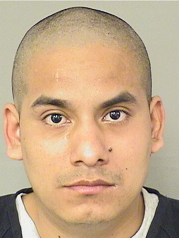  ANGEL LOPEZALFARO Photo For  ANGEL LOPEZALFARO