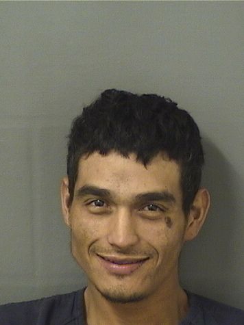  EDVIN N FAJARDOPAIZ Results from Palm Beach County Florida for  EDVIN N FAJARDOPAIZ