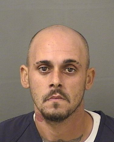  TIMOTHY BIGBOY CUITO Results from Palm Beach County Florida for  TIMOTHY BIGBOY CUITO