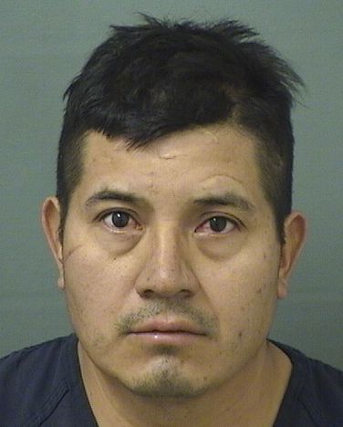  RAMON FRANCISCO PEREZESTEBAN Results from Palm Beach County Florida for  RAMON FRANCISCO PEREZESTEBAN