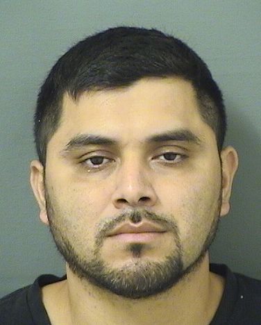  ELVIN MORANSANTOS Resultados de la busqueda para Palm Beach County Florida para  ELVIN MORANSANTOS