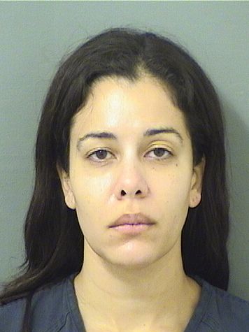  MICHELLE E BERKOWITZ Results from Palm Beach County Florida for  MICHELLE E BERKOWITZ