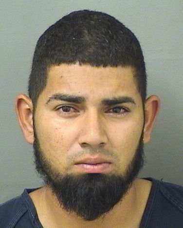  LUIS GERARDO MENDOZARODRIGUEZ Resultados de la busqueda para Palm Beach County Florida para  LUIS GERARDO MENDOZARODRIGUEZ