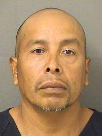  ARTEMEO DOMINGO Results from Palm Beach County Florida for  ARTEMEO DOMINGO