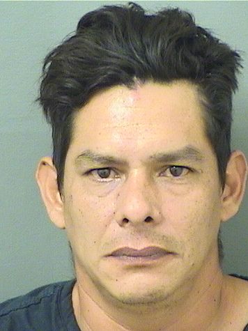  JULIAN FERNANDO CASTANO Resultados de la busqueda para Palm Beach County Florida para  JULIAN FERNANDO CASTANO