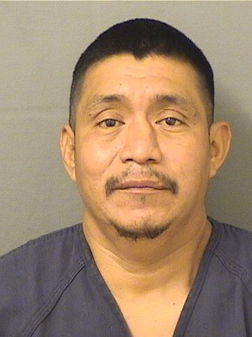  ERVIN AMICAR AGUILARGARCIA Results from Palm Beach County Florida for  ERVIN AMICAR AGUILARGARCIA