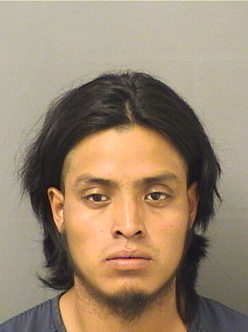  ANDRES FELIPEMALDONADO Resultados de la busqueda para Palm Beach County Florida para  ANDRES FELIPEMALDONADO