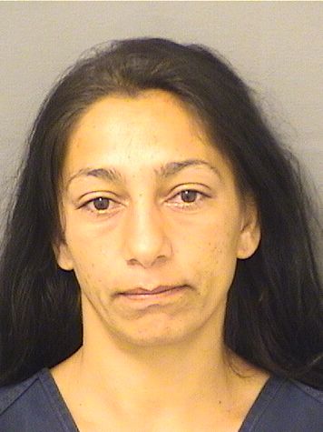  ALEXANDRA MAREATA Results from Palm Beach County Florida for  ALEXANDRA MAREATA