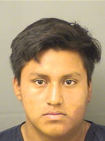  CARLOS MORALESRAMIREZ Results from Palm Beach County Florida for  CARLOS MORALESRAMIREZ