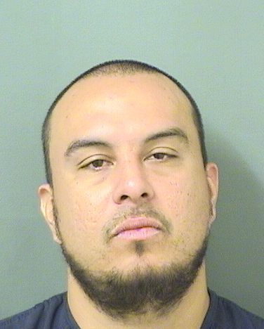  JULIO ERNESTO Jr QUEBRADA Results from Palm Beach County Florida for  JULIO ERNESTO Jr QUEBRADA