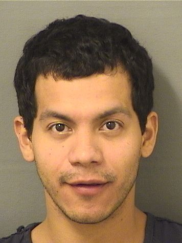  ANTHONY ALEJANDRO MORANORTIZ Results from Palm Beach County Florida for  ANTHONY ALEJANDRO MORANORTIZ