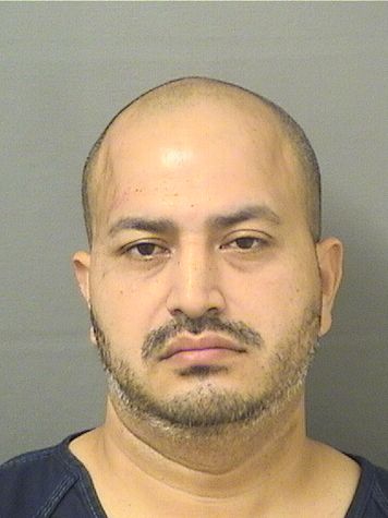  MARIO EDWIN FLORES Results from Palm Beach County Florida for  MARIO EDWIN FLORES
