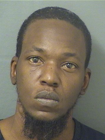  WILLIAM ANDRE JOHNSON Results from Palm Beach County Florida for  WILLIAM ANDRE JOHNSON