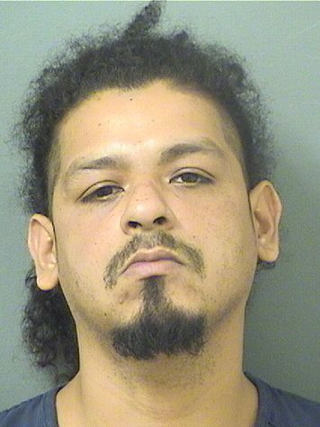  MARLON ALVARENGA Results from Palm Beach County Florida for  MARLON ALVARENGA