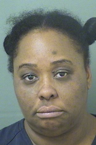  DANIELLE MELISSA MCDONALDLOGAN Results from Palm Beach County Florida for  DANIELLE MELISSA MCDONALDLOGAN