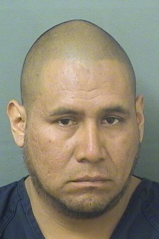  JOEL LOPEZGONZALES Results from Palm Beach County Florida for  JOEL LOPEZGONZALES