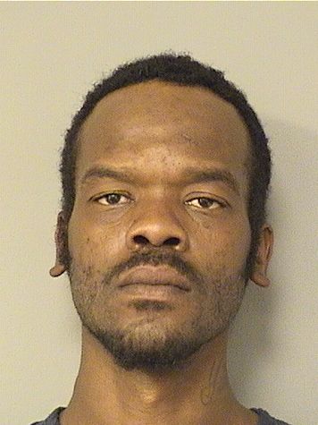  OCTAVIOUS T SNEAD Results from Palm Beach County Florida for  OCTAVIOUS T SNEAD