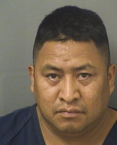  LORENZO M SANCHEZ Results from Palm Beach County Florida for  LORENZO M SANCHEZ