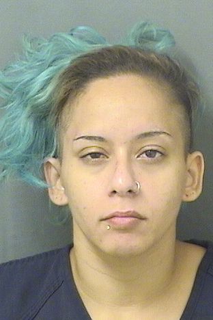  ALICIA MARIE FIGUEROA Results from Palm Beach County Florida for  ALICIA MARIE FIGUEROA