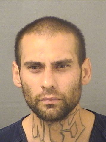  ANDRES G BARRIENTOS Results from Palm Beach County Florida for  ANDRES G BARRIENTOS