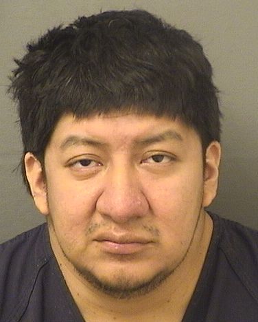  WILLIAM E BROVO Resultados de la busqueda para Palm Beach County Florida para  WILLIAM E BROVO