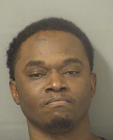  PETERSON BRUMAIRE Results from Palm Beach County Florida for  PETERSON BRUMAIRE