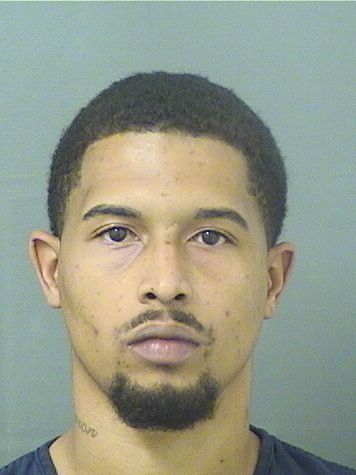  JOSHUA ANTHONY PALMER Results from Palm Beach County Florida for  JOSHUA ANTHONY PALMER