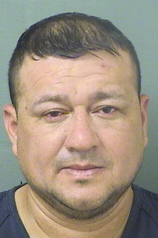  ELVIN ARMONDO ZAMORAGUTIERREZ Results from Palm Beach County Florida for  ELVIN ARMONDO ZAMORAGUTIERREZ