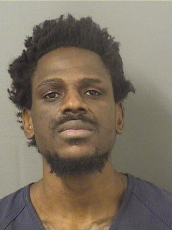  RENALDIN DORCEUS Results from Palm Beach County Florida for  RENALDIN DORCEUS