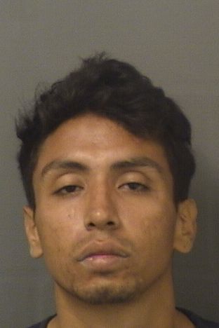  DENIS FERNANDO FIALLOSORELLANA Results from Palm Beach County Florida for  DENIS FERNANDO FIALLOSORELLANA