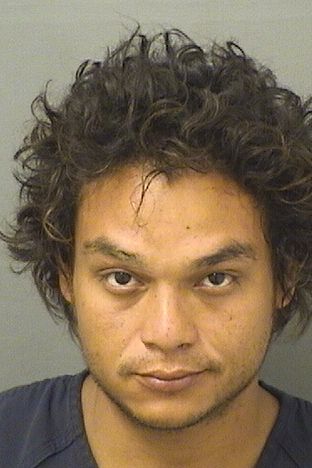  RAMIRO GARCIA Results from Palm Beach County Florida for  RAMIRO GARCIA