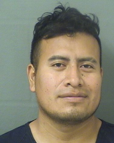  ALVARO SANCHEZPEREZ Results from Palm Beach County Florida for  ALVARO SANCHEZPEREZ