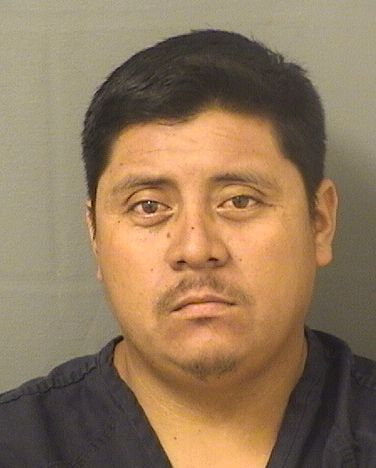  NIGUER GUDIEL LOPEZ Resultados de la busqueda para Palm Beach County Florida para  NIGUER GUDIEL LOPEZ