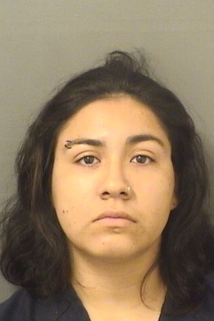  NICOLE SOTOMAYOR Results from Palm Beach County Florida for  NICOLE SOTOMAYOR