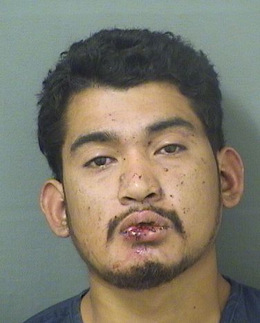 JULIO LOPEZRODAS Results from Palm Beach County Florida for JULIO LOPEZRODAS JULIO LOPEZRODAS Results from Palm Beach County Florida for JULIO LOPEZRODAS