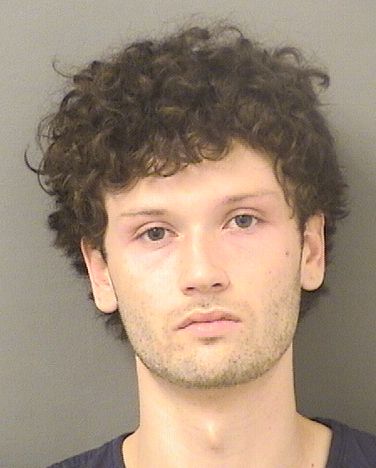  MICHAEL ALFONSE RESCIGNO Results from Palm Beach County Florida for  MICHAEL ALFONSE RESCIGNO