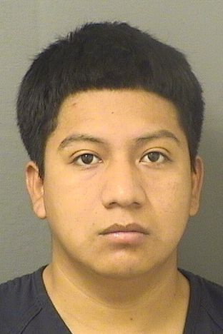  MYNOR M GUZMANCOBO Results from Palm Beach County Florida for  MYNOR M GUZMANCOBO