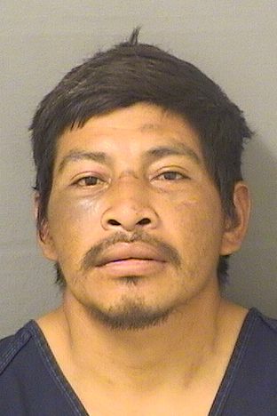  MIGUEL MATEO Results from Palm Beach County Florida for  MIGUEL MATEO