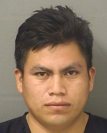  WILSON ALEXANDER PEREZYPEREZ Resultados de la busqueda para Palm Beach County Florida para  WILSON ALEXANDER PEREZYPEREZ