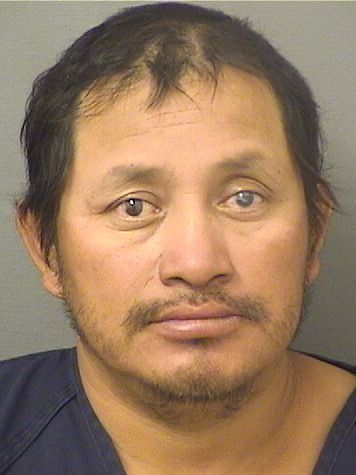  ERNESTO MENDEZDIAZ Results from Palm Beach County Florida for  ERNESTO MENDEZDIAZ