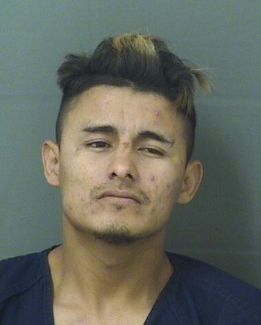  HENRY J HERNANDEZCANALES Resultados de la busqueda para Palm Beach County Florida para  HENRY J HERNANDEZCANALES