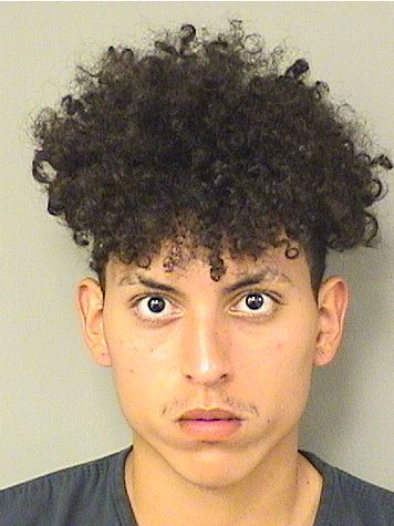  JOSE MANUEL PADILLA Results from Palm Beach County Florida for  JOSE MANUEL PADILLA
