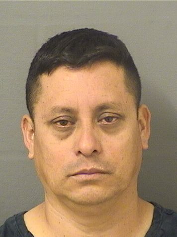  ESTUARDO JOEL LOPEZCASTILLO Results from Palm Beach County Florida for  ESTUARDO JOEL LOPEZCASTILLO