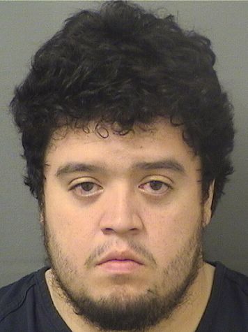 MICHAEL GRAMAJOPALENCIA Results from Palm Beach County Florida for MICHAEL GRAMAJOPALENCIA MICHAEL GRAMAJOPALENCIA Results from Palm Beach County Florida for MICHAEL GRAMAJOPALENCIA
