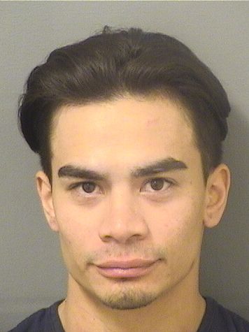  JORDAN NEILL DIAZ Results from Palm Beach County Florida for  JORDAN NEILL DIAZ